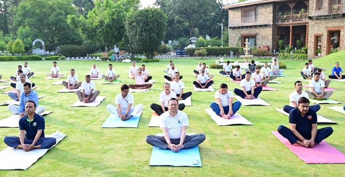imghed-bg2