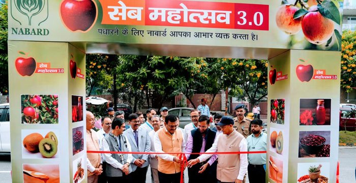 imghed-bg2